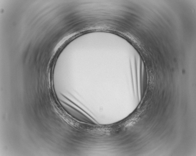 X0000059091078200511041841