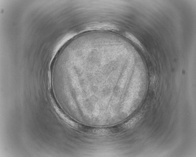 X0000059091079200511041841