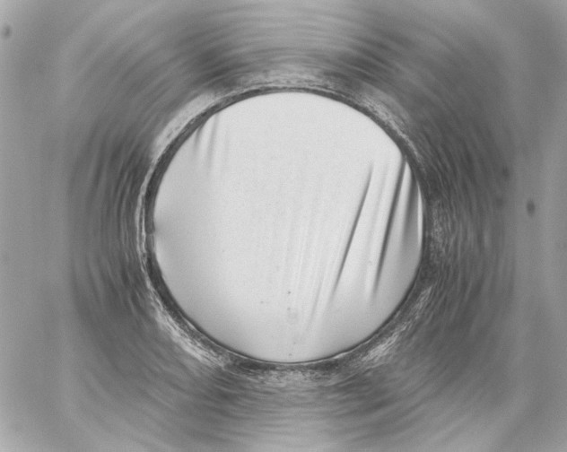 X0000059091082200511041841