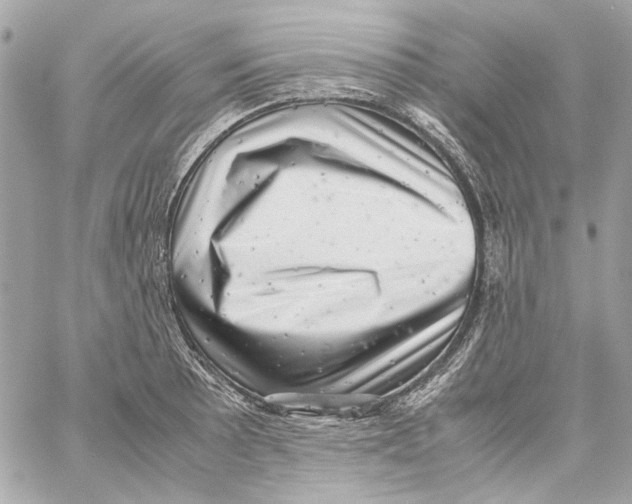X0000059091089200511041841