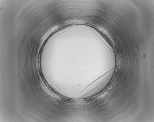 X0000059091090200511041841
