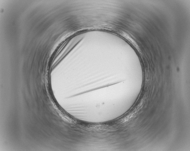 X0000059091093200511041841