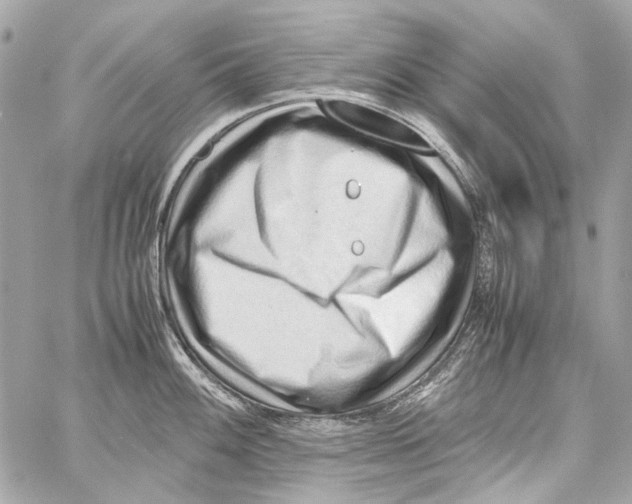 X0000059091100200511041841