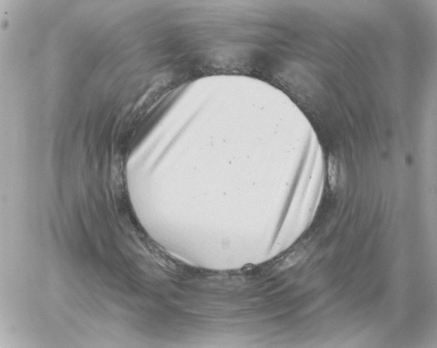 X0000059091107200511041840