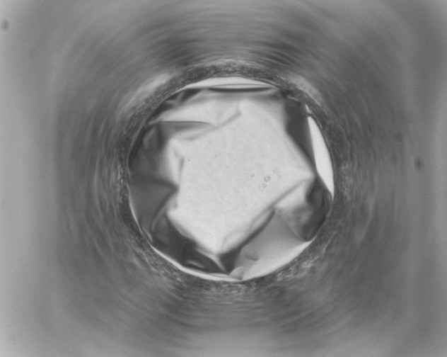 X0000059091111200511041840