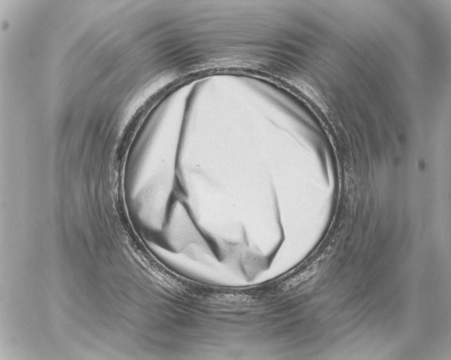 X0000059091119200511041840