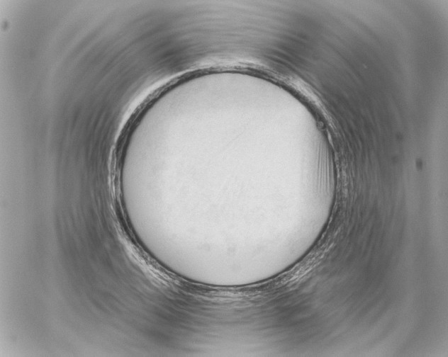 X0000059091124200511041840