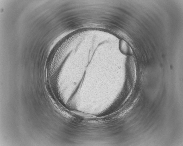 X0000059091125200511041840