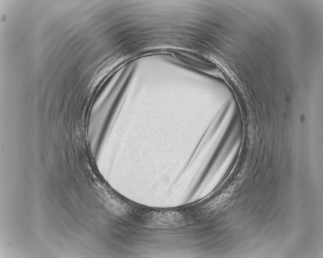 X0000059091129200511041840