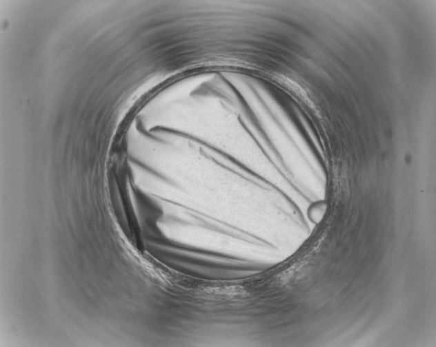 X0000059091133200511041840