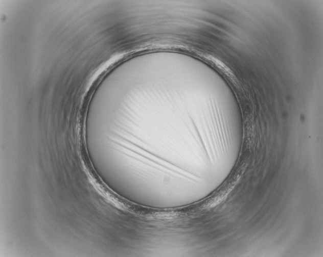 X0000059091134200511041840