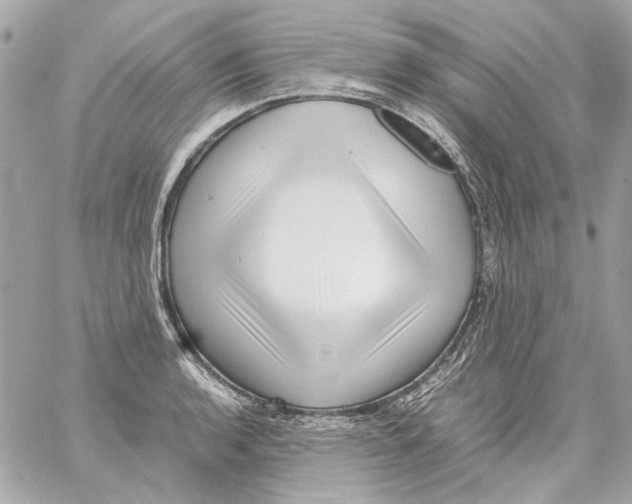 X0000059091136200511041840