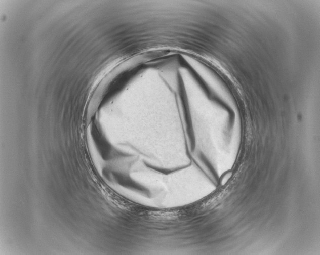 X0000059091145200511041841