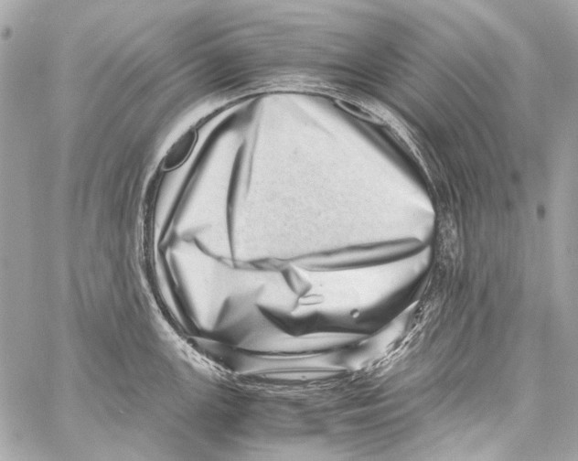 X0000059091147200511041841