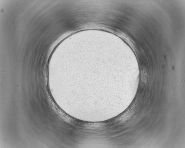 X0000059091150200511041841
