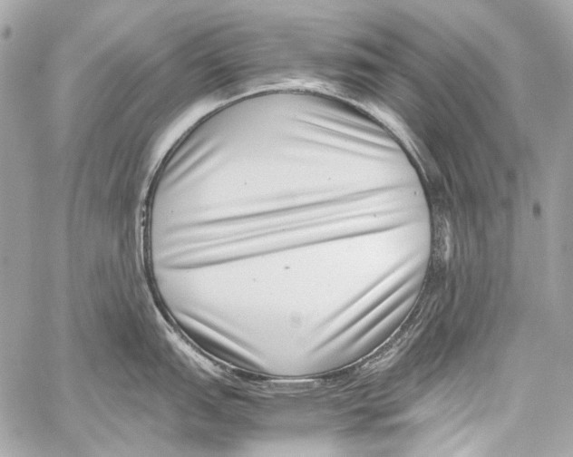 X0000059091151200511041841