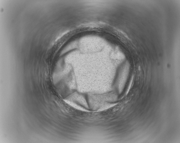 X0000059091158200511041840