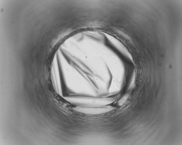 X0000059091160200511041840