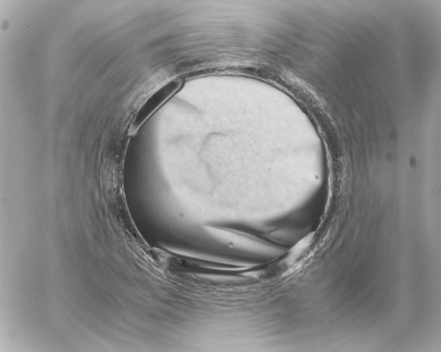 X0000059091169200511041840