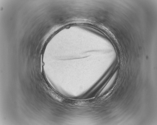 X0000059091175200511041839