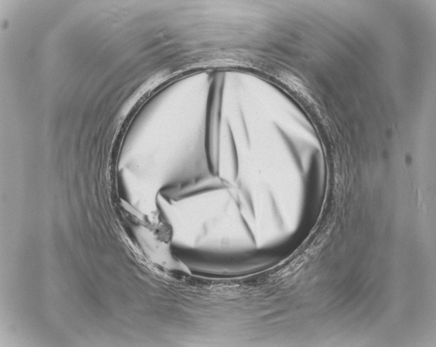 X0000059091181200511041839