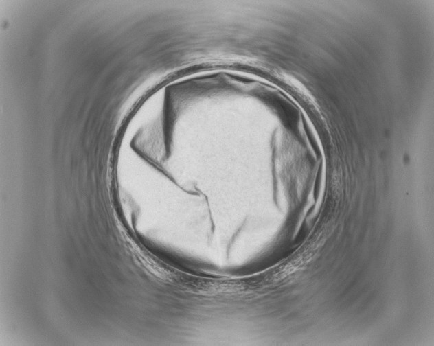 X0000059091183200511041839