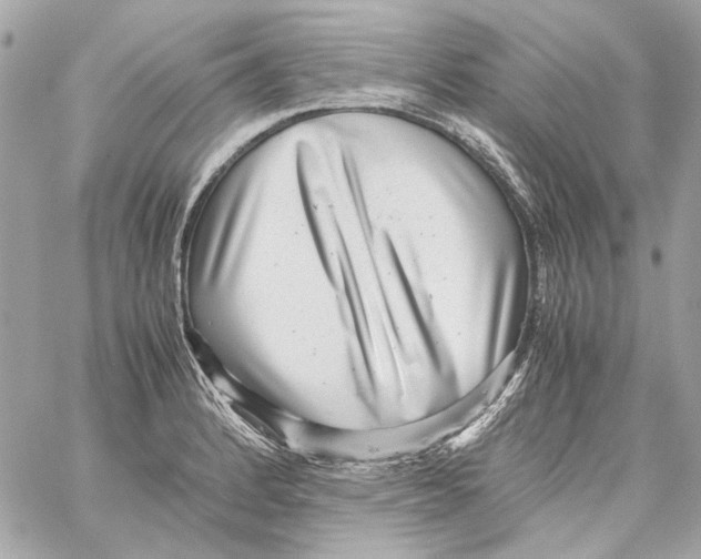 X0000059091184200511041839