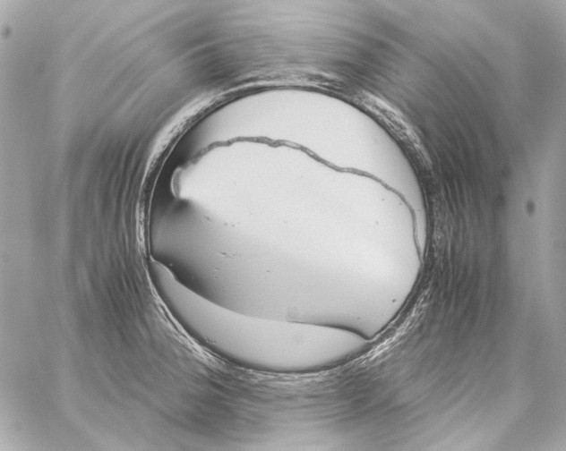 X0000059091188200511041839
