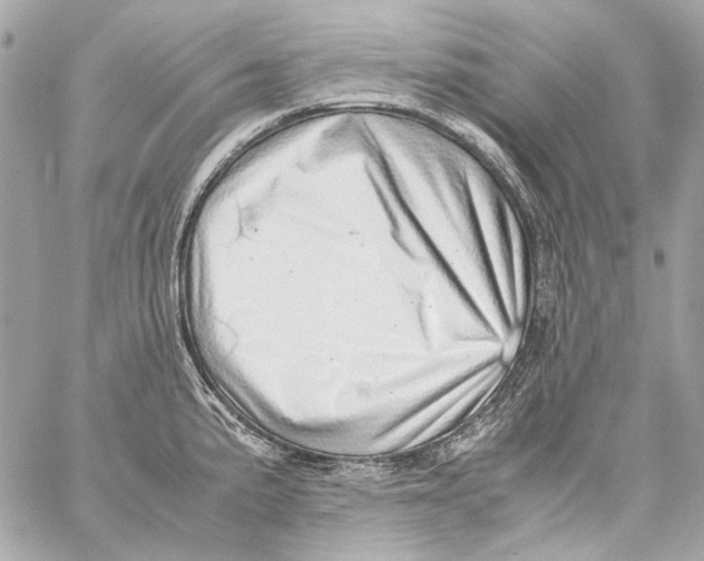 X0000059091191200511041839
