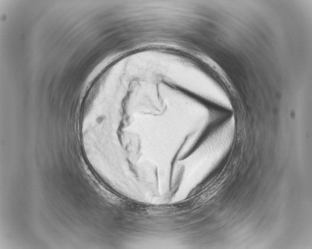 X0000059091199200511041839
