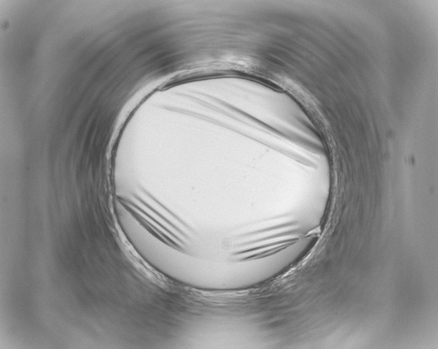 X0000059091200200511041839