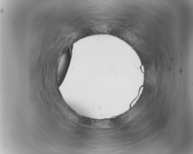 X0000059091201200511041838