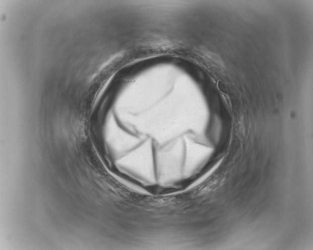 X0000059091205200511041838