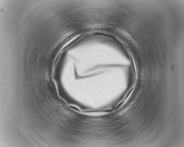 X0000059091209200511041838