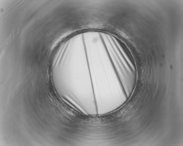X0000059091214200511041838