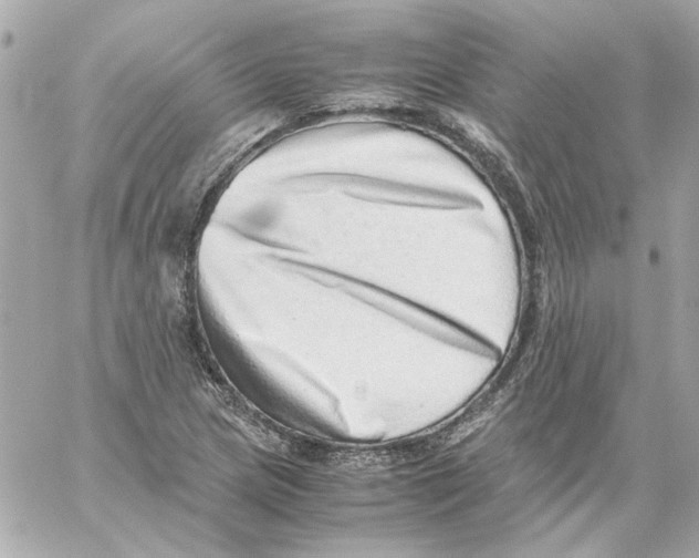 X0000059091217200511041839