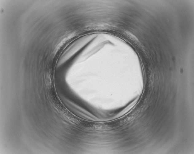 X0000059091218200511041839