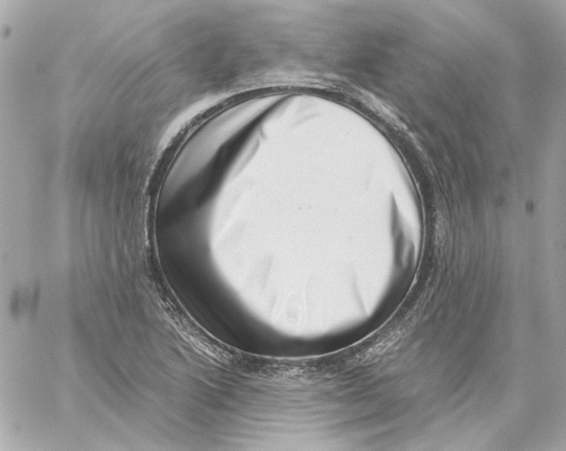 X0000059091222200511041839