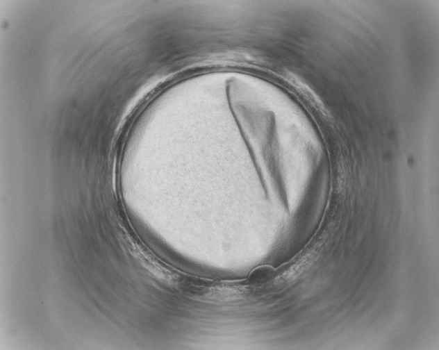 X0000059091224200511041839