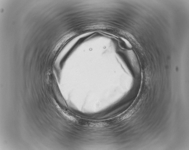 X0000059091225200511041839