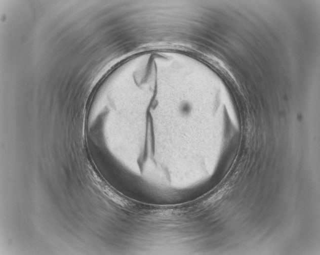 X0000059091228200511041839