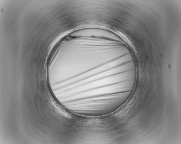 X0000059091238200511041839