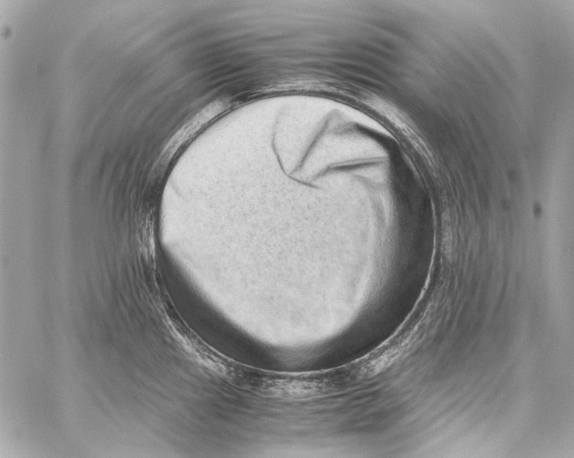 X0000059091241200511041839