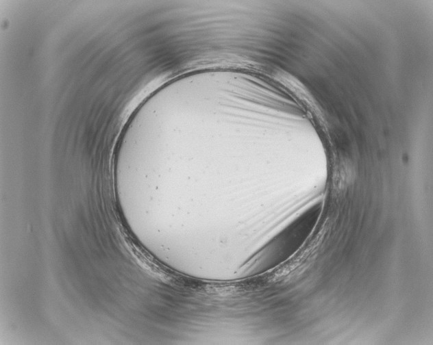X0000059091242200511041839
