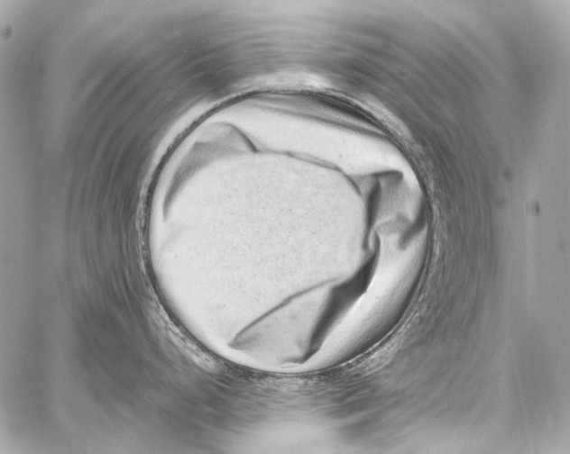 X0000059091248200511041839