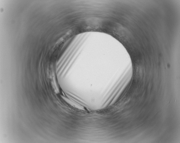 X0000059091250200511041838