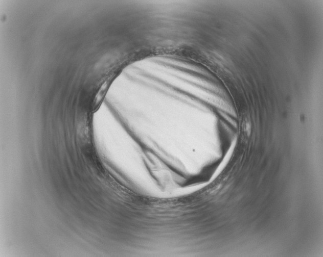 X0000059091252200511041838