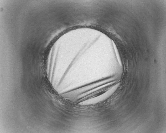 X0000059091256200511041838