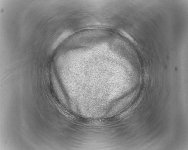 X0000059091259200511041838