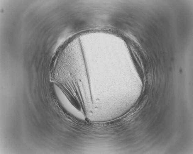 X0000059091267200511041838